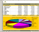 xManager - ScreenShots - Raport Vânzări Categorii de Produse / Provenienţă Clienţi