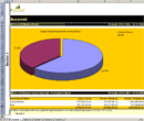 xManager - ScreenShots - Raport de Vânzări pe Regiuni