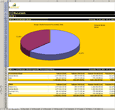 xManager - ScreenShots - Raport de Vânzări pe Localităţi